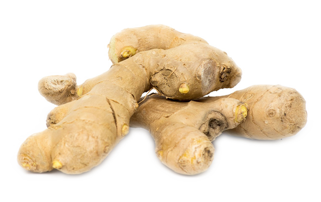 Medicinal herbs Ginger Root ideal for a home apothecary, extract a tincture O