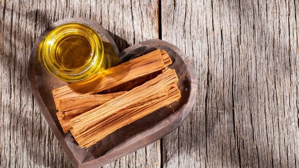 palo santo essential oil is derived from the Bursera Graveolens tree and used for spiritual healing ceremonies by the inca empire ideal for clearing negative energies