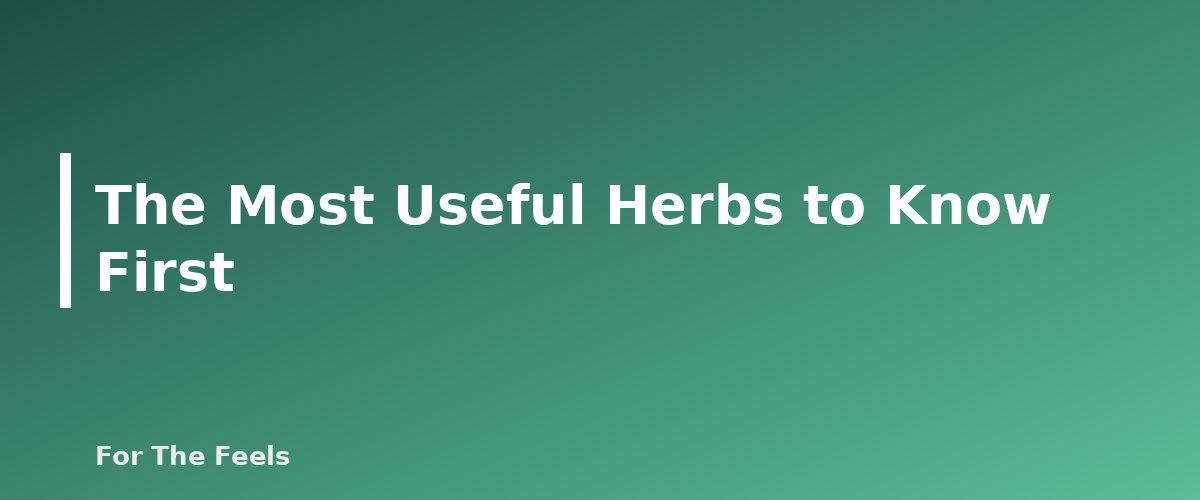 The Most Useful Herbs to Know First - section banner for Herbs for Beginners