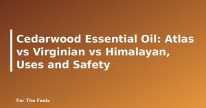 Cedarwood Essential Oil: Atlas vs Virginian vs Himalayan, Uses and Safety - featured image