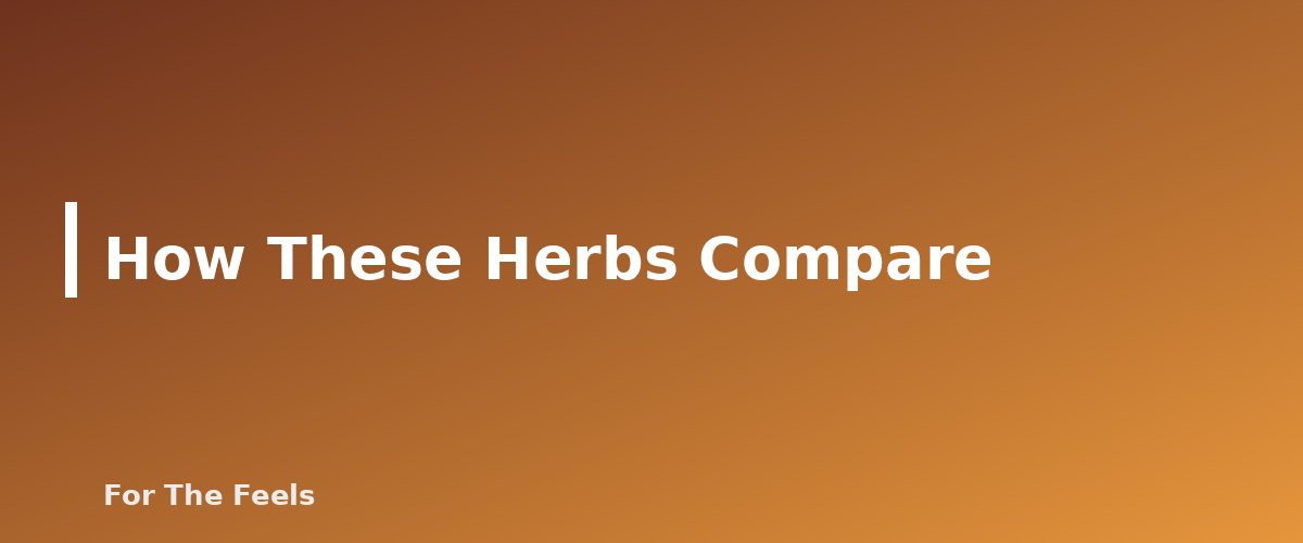 How These Herbs Compare - section banner for Chamomile, Peppermint and Lemon Balm