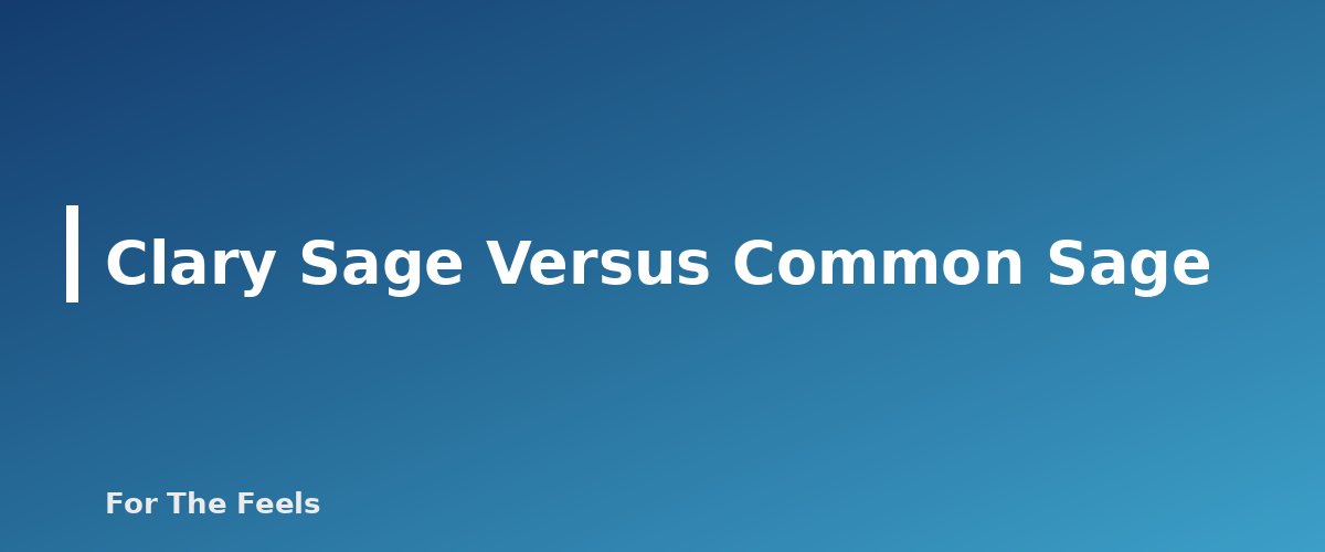 Clary Sage Versus Common Sage - section banner for Clary Sage Essential Oil