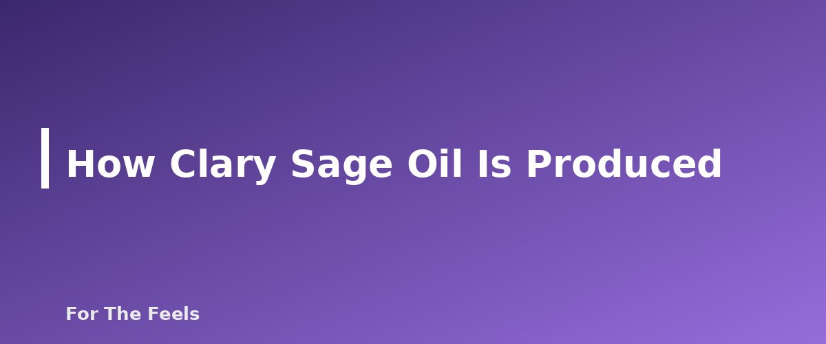 How Clary Sage Oil Is Produced - section banner for Clary Sage Essential Oil