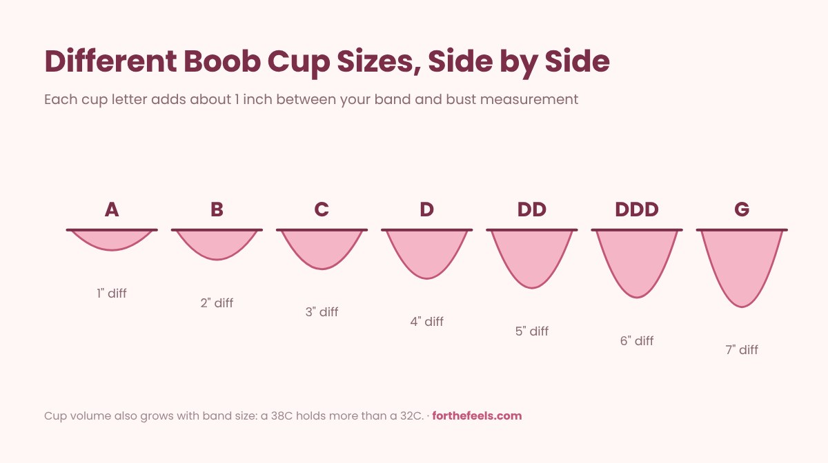 Boob size diagram comparing different boob cup sizes A, B, C, D, DD, DDD and G side by side