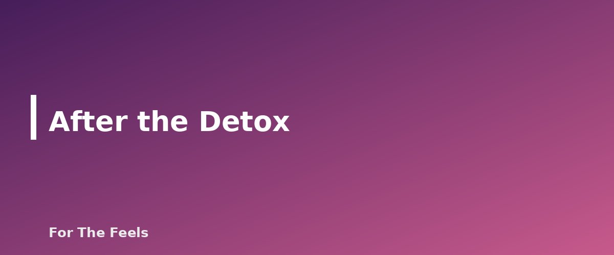 After the Detox - section banner for Digital Detox