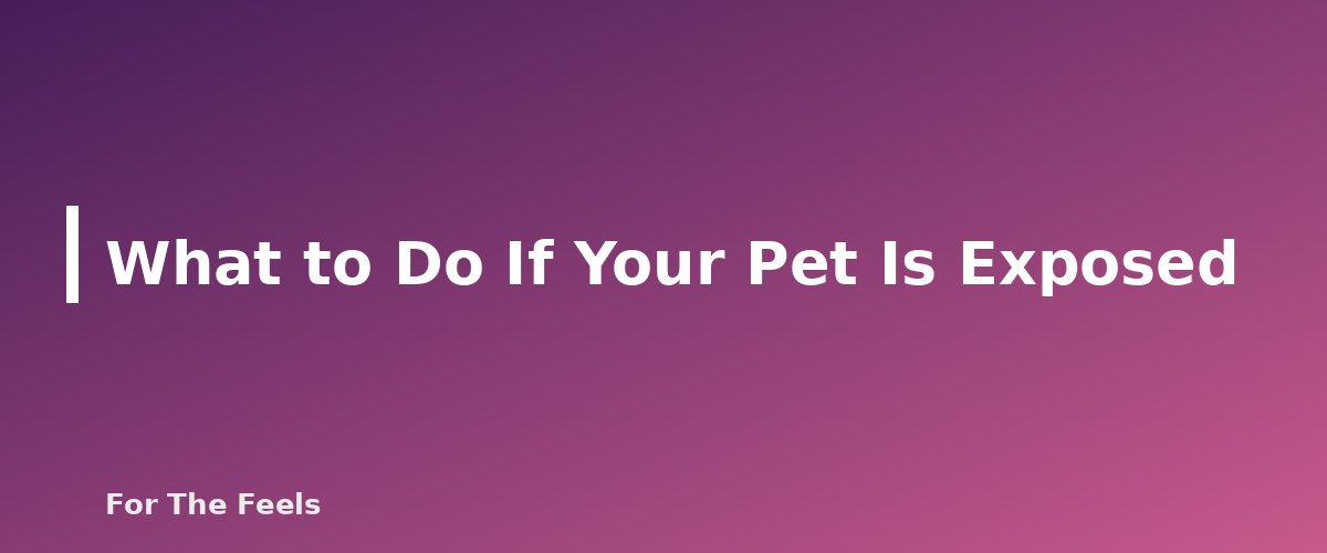 What to Do If Your Pet Is Exposed - section banner for Essential Oils and Pets