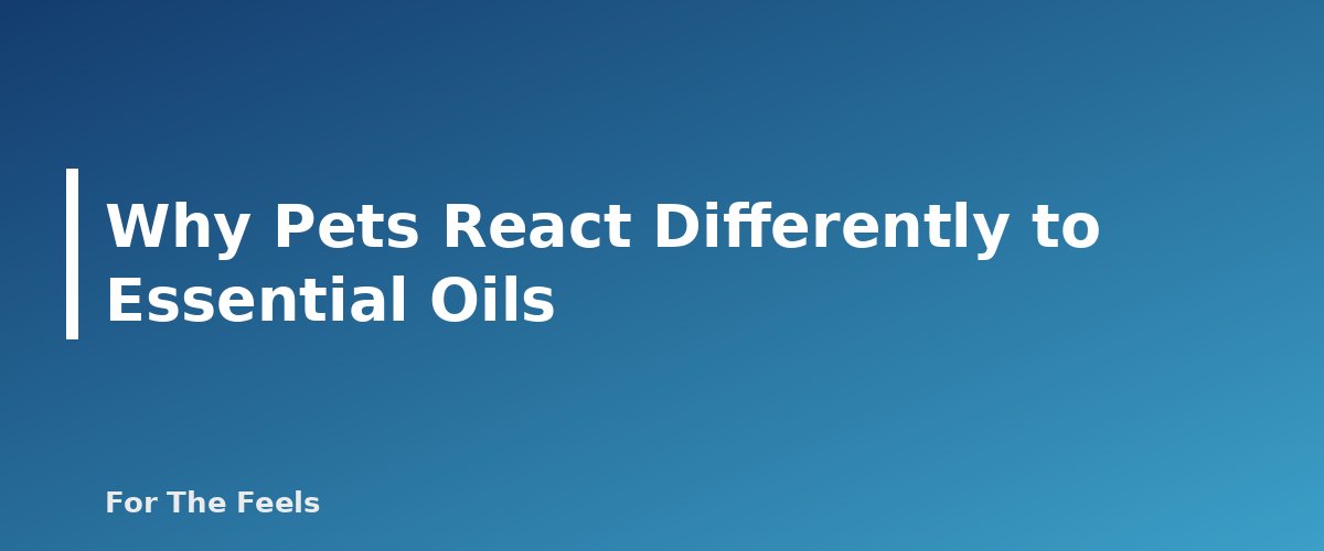 Why Pets React Differently to Essential Oils - section banner for Essential Oils and Pets