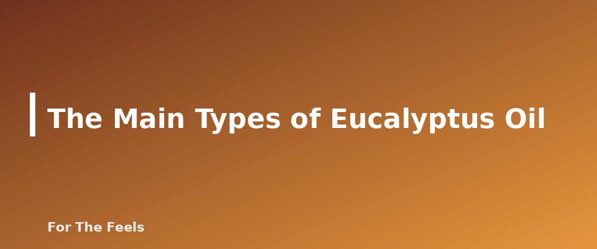 The Main Types of Eucalyptus Oil - section banner for Eucalyptus Essential Oil