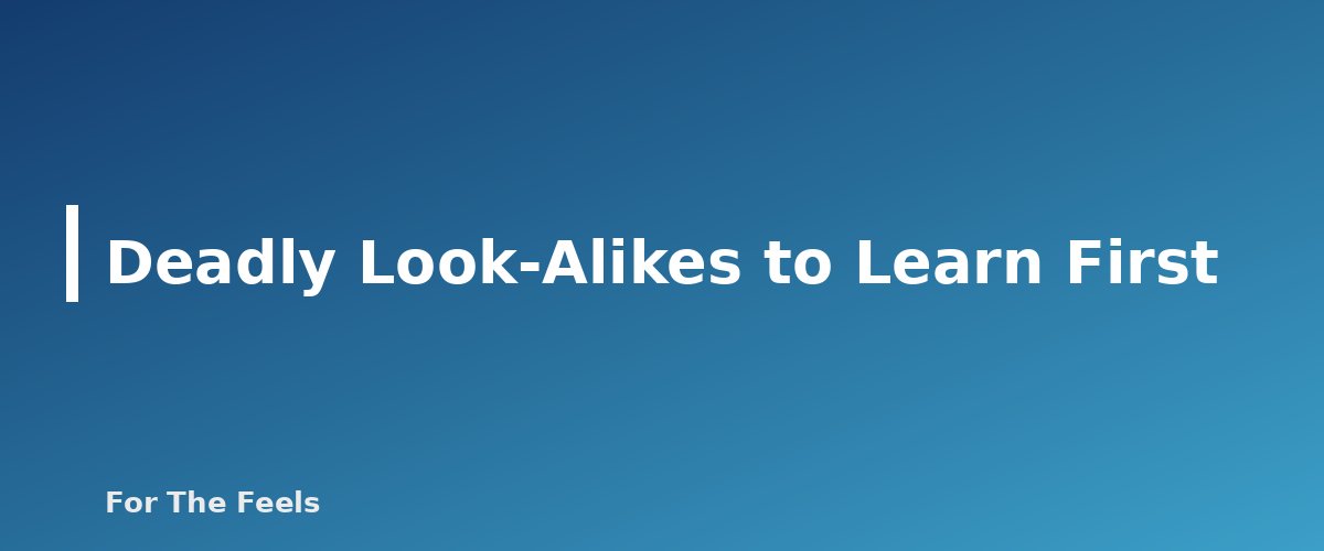 Deadly Look-Alikes to Learn First - section banner for Foraging Safety for Beginners