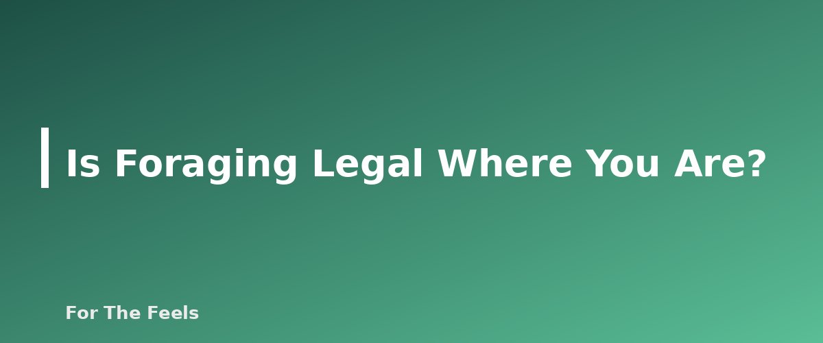 Is Foraging Legal Where You Are? - section banner for Foraging Safety for Beginners