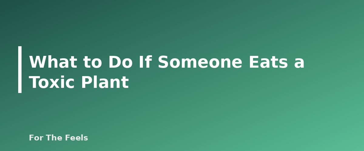 What to Do If Someone Eats a Toxic Plant - section banner for Foraging Safety for Beginners