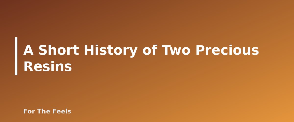A Short History of Two Precious Resins - section banner for Frankincense and Myrrh Essential Oils