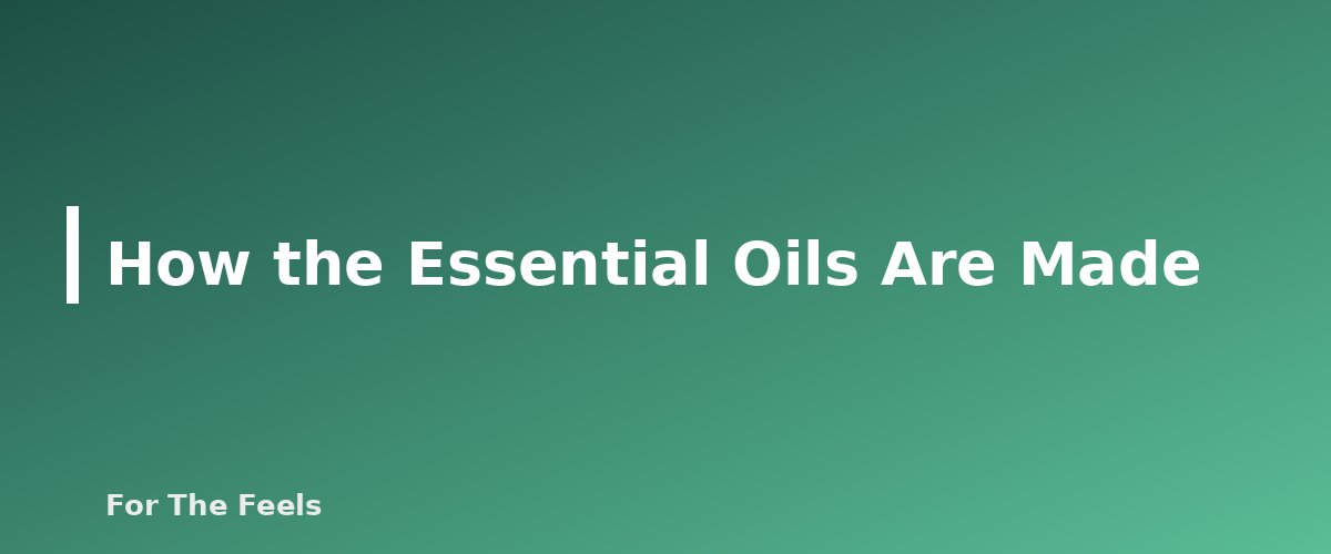How the Essential Oils Are Made - section banner for Frankincense and Myrrh Essential Oils