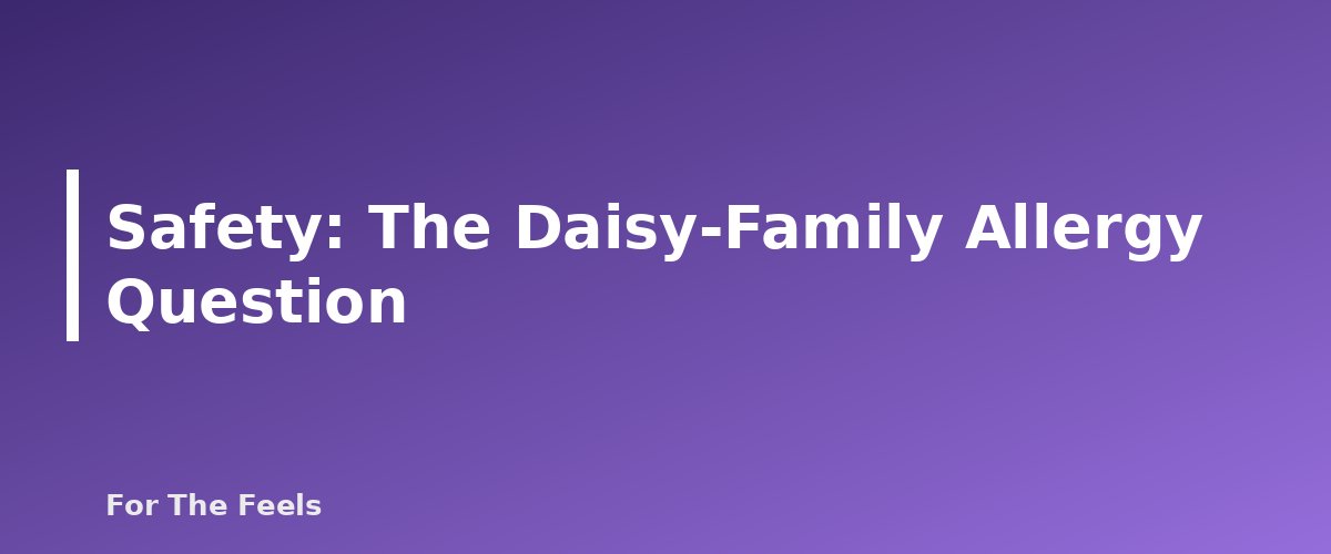 Safety: The Daisy-Family Allergy Question - section banner for German vs Roman Chamomile Essential Oil