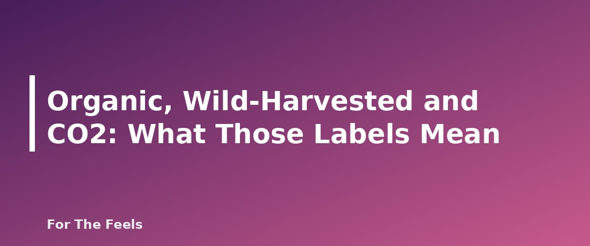 Organic, Wild-Harvested and CO2: What Those Labels Mean - section banner for How to Tell if an Essential Oil Is Pure