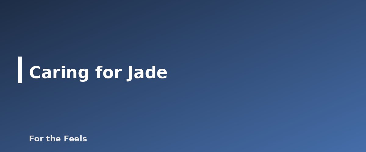 Caring for Jade - illustration for Jade: Meaning, Properties, Care and How to Spot a Fake