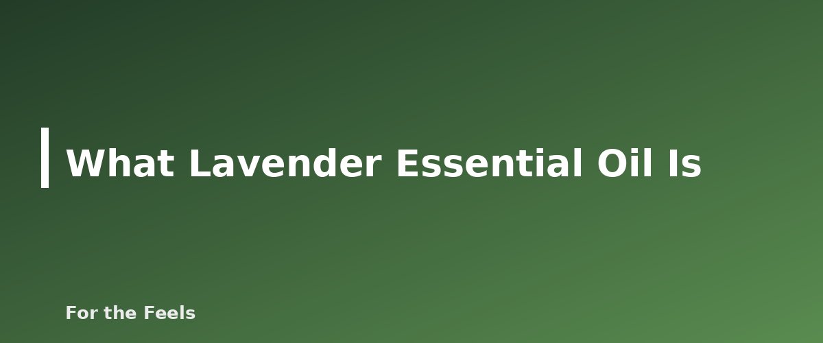 What Lavender Essential Oil Is - illustration for Lavender Essential Oil: Uses, Safety and What the Research Says