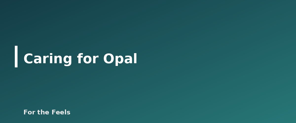 Caring for Opal - illustration for Opal: Meaning, Properties, Care and How to Spot a Fake