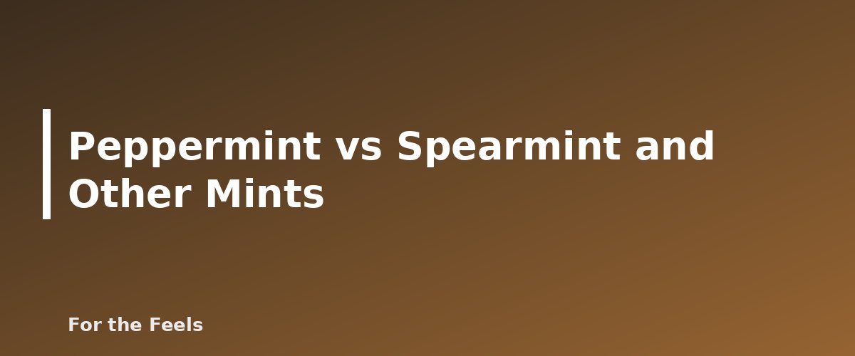 Peppermint vs Spearmint and Other Mints - illustration for Peppermint Essential Oil: Uses, Safety and Dilution