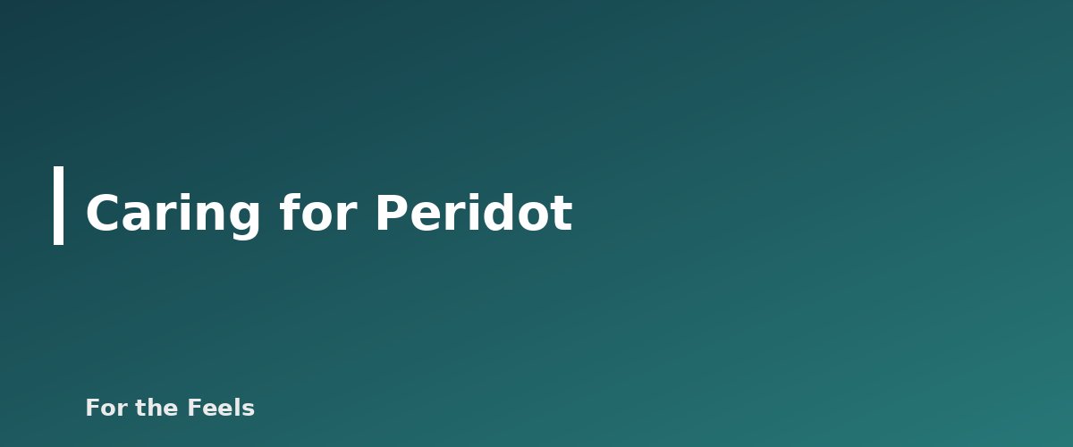 Caring for Peridot - illustration for Peridot: Meaning, Properties, Care and How to Spot a Fake