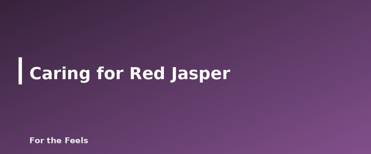 Caring for Red Jasper - illustration for Red Jasper: Meaning, Properties, Care and How to Spot a Fake