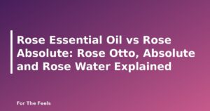 Rose Essential Oil vs Rose Absolute: Rose Otto, Absolute and Rose Water Explained - featured image