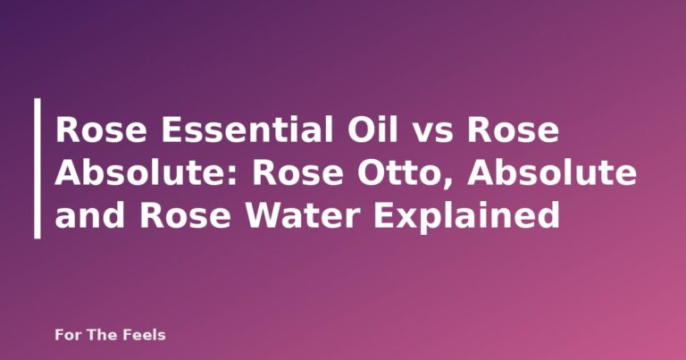 Rose Essential Oil vs Rose Absolute: Rose Otto, Absolute and Rose Water Explained - featured image