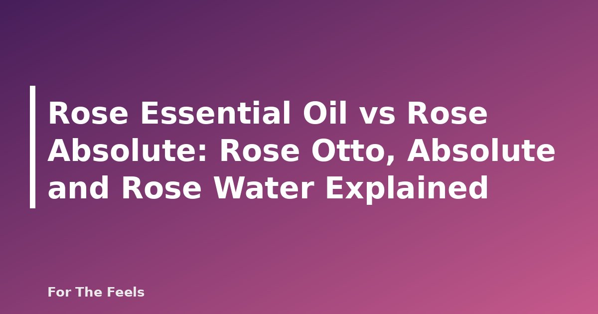 Rose Essential Oil vs Rose Absolute: Rose Otto, Absolute and Rose Water Explained - featured image