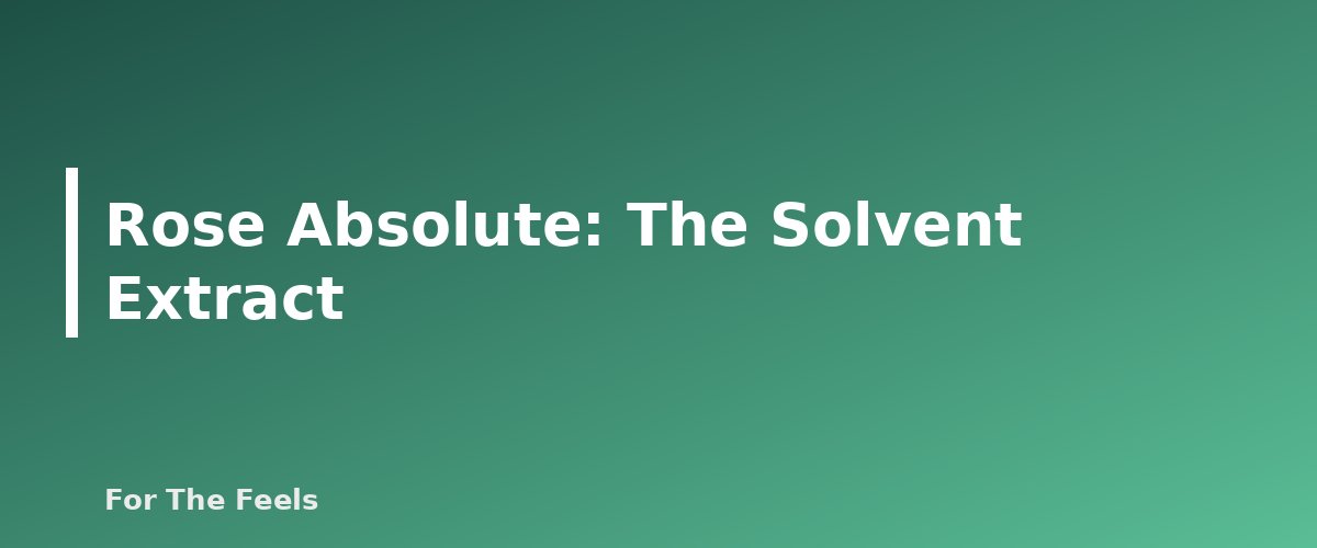 Rose Absolute: The Solvent Extract - section banner for Rose Essential Oil vs Rose Absolute