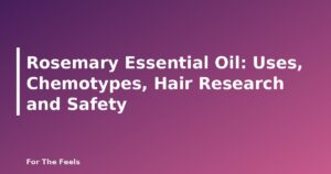 Rosemary Essential Oil: Uses, Chemotypes, Hair Research and Safety - featured image