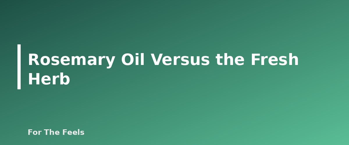 Rosemary Oil Versus the Fresh Herb - section banner for Rosemary Essential Oil