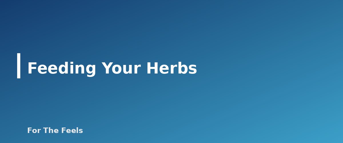 Feeding Your Herbs - section banner for How to Grow a Windowsill Herb Garden