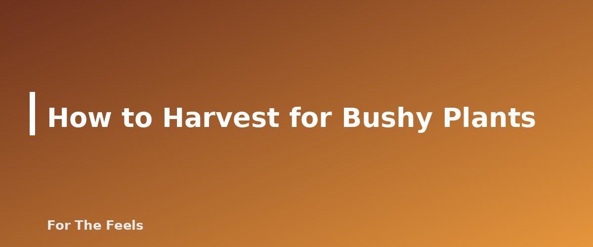 How to Harvest for Bushy Plants - section banner for How to Grow a Windowsill Herb Garden