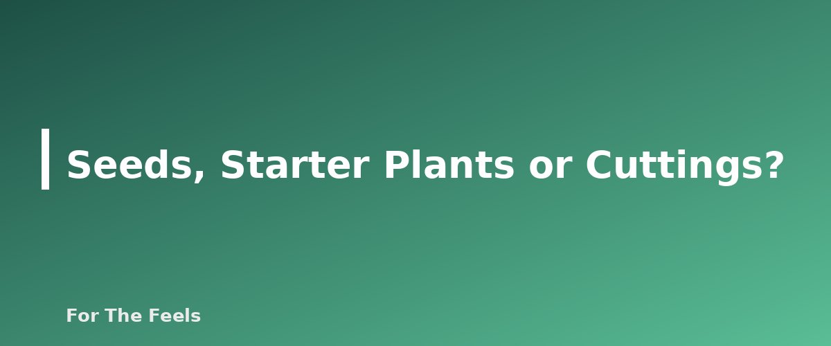 Seeds, Starter Plants or Cuttings? - section banner for How to Grow a Windowsill Herb Garden
