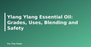 Ylang Ylang Essential Oil: Grades, Uses, Blending and Safety - featured image